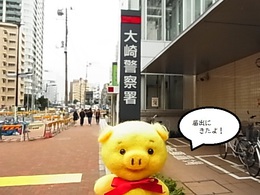 2015-01-31 23.21.48.jpg