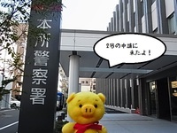 2015-02-03 19.52.39.jpg