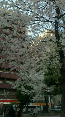 2015040512410000 (1).jpg