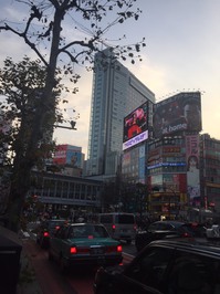 sibuya.jpg